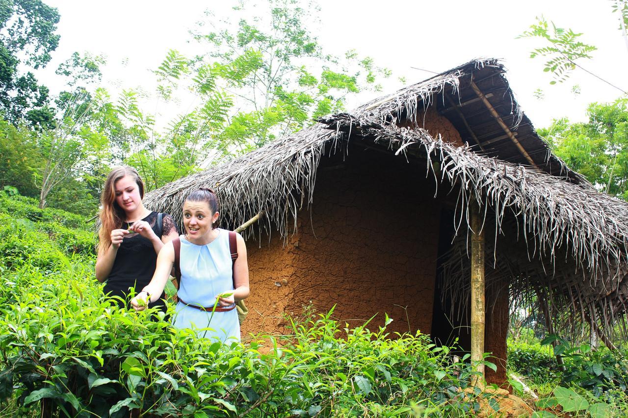 Bedda Eco Cottages Deniyaya Exterior foto