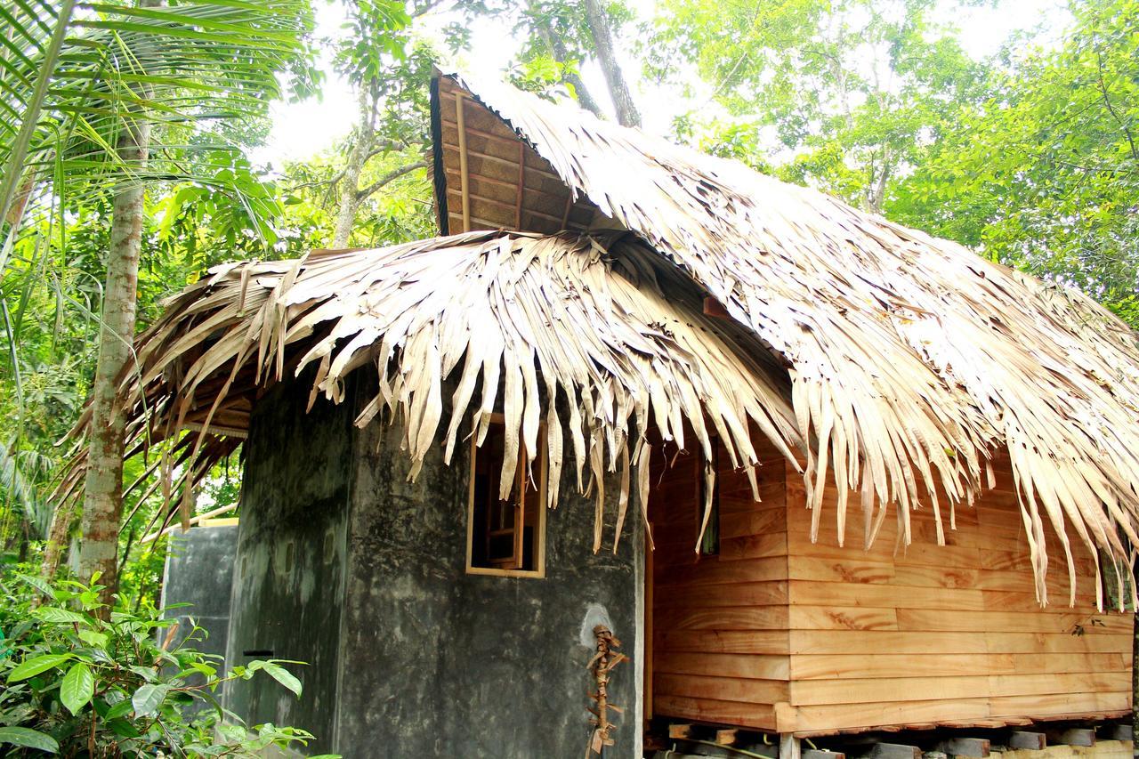 Bedda Eco Cottages Deniyaya Exterior foto